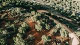  Juniper Way - Photo 2
