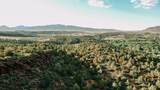  Juniper Way - Photo 4
