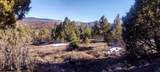 52 Acres Francis St - Photo 10