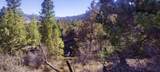 52 Acres Francis St - Photo 6