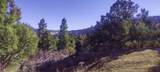 52 Acres Francis St - Photo 9