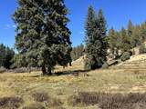 45/ 65 Apollo Trail - Photo 10