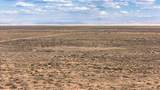 320 Acres Just Off Lund Hwy - Photo 18