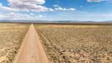 320 Acres Just Off Lund Hwy - Photo 4
