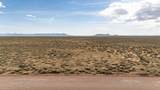 320 Acres Just Off Lund Hwy - Photo 8