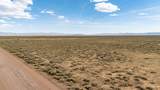 320 Acres Just Off Lund Hwy - Photo 9