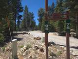 95 Rim Rd - Photo 38