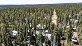 45 Forest Dr - Photo 89