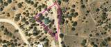 4655 Koshem Way - Photo 3