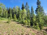  Braffits Creek Lot 61&62 - Photo 5