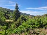  Braffits Creek Lot 61&62 - Photo 8