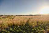 1500 Hwy 357 - Photo 6