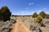  240 Acres - Photo 18