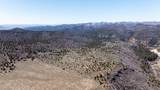 240 Acres - Photo 4