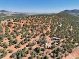 20 acres Off Highway 56 - Photo 11
