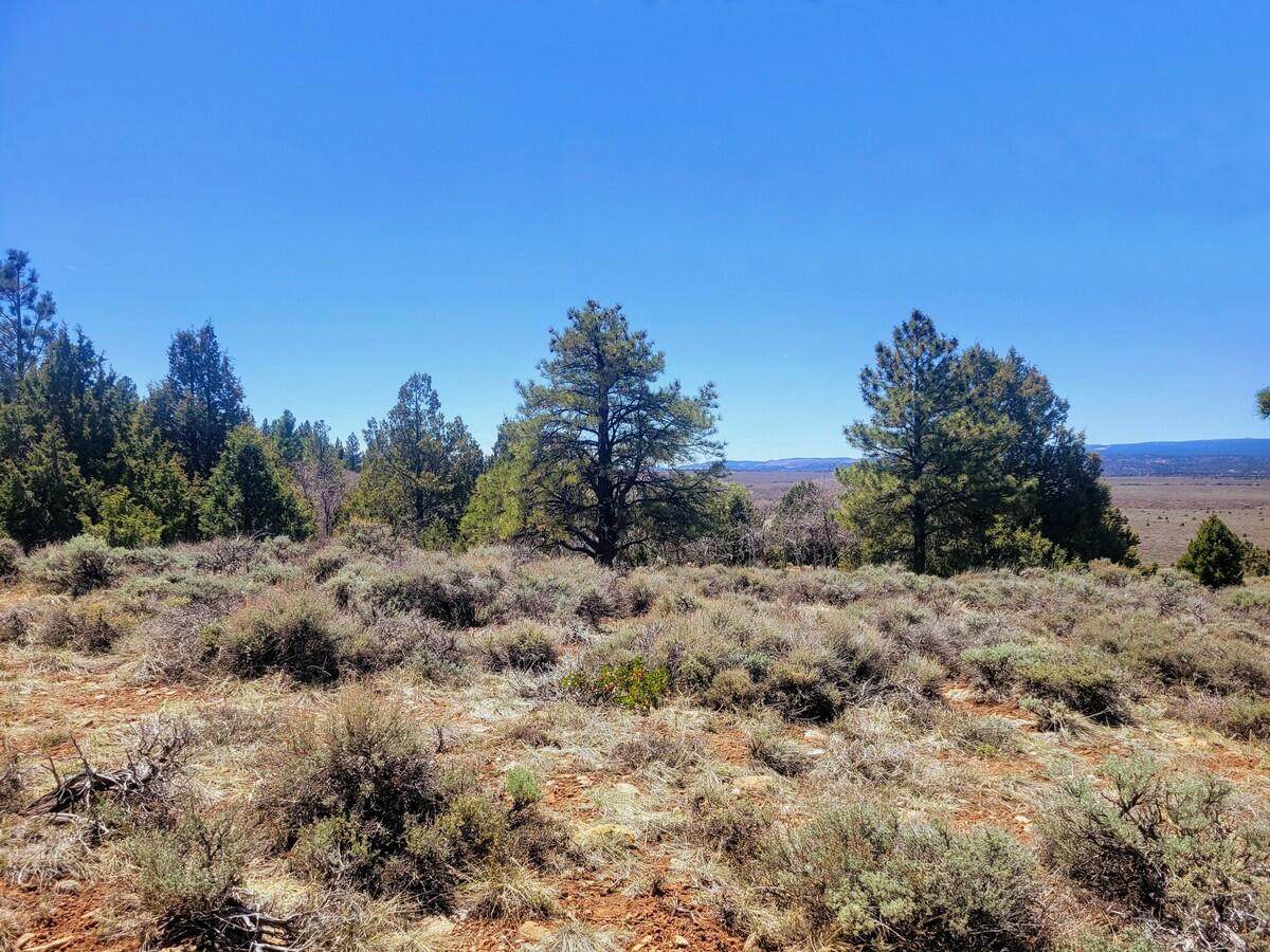 Lot 5 Valley View Dr - Photo 1