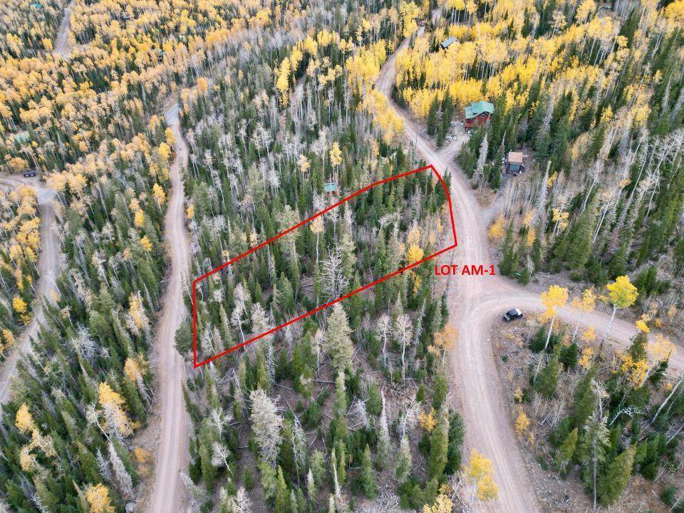 235 Snowman Dr - Photo 1
