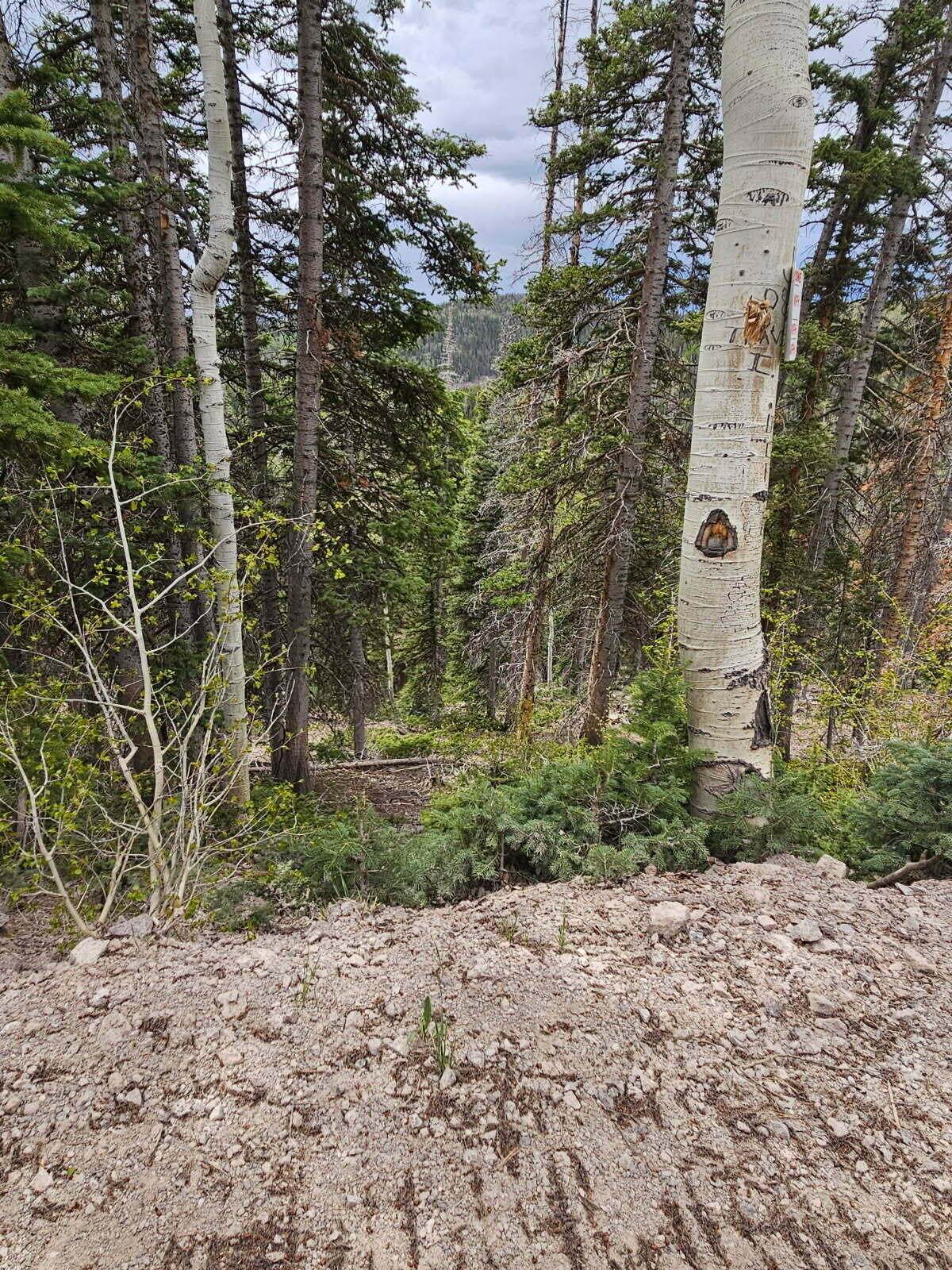 https://bt-photos.global.ssl.fastly.net/ironco/orig_boomver_1_111614-2.jpg