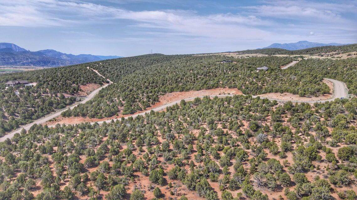  Lot 44 Harmony Mountain Ranch - Photo 1