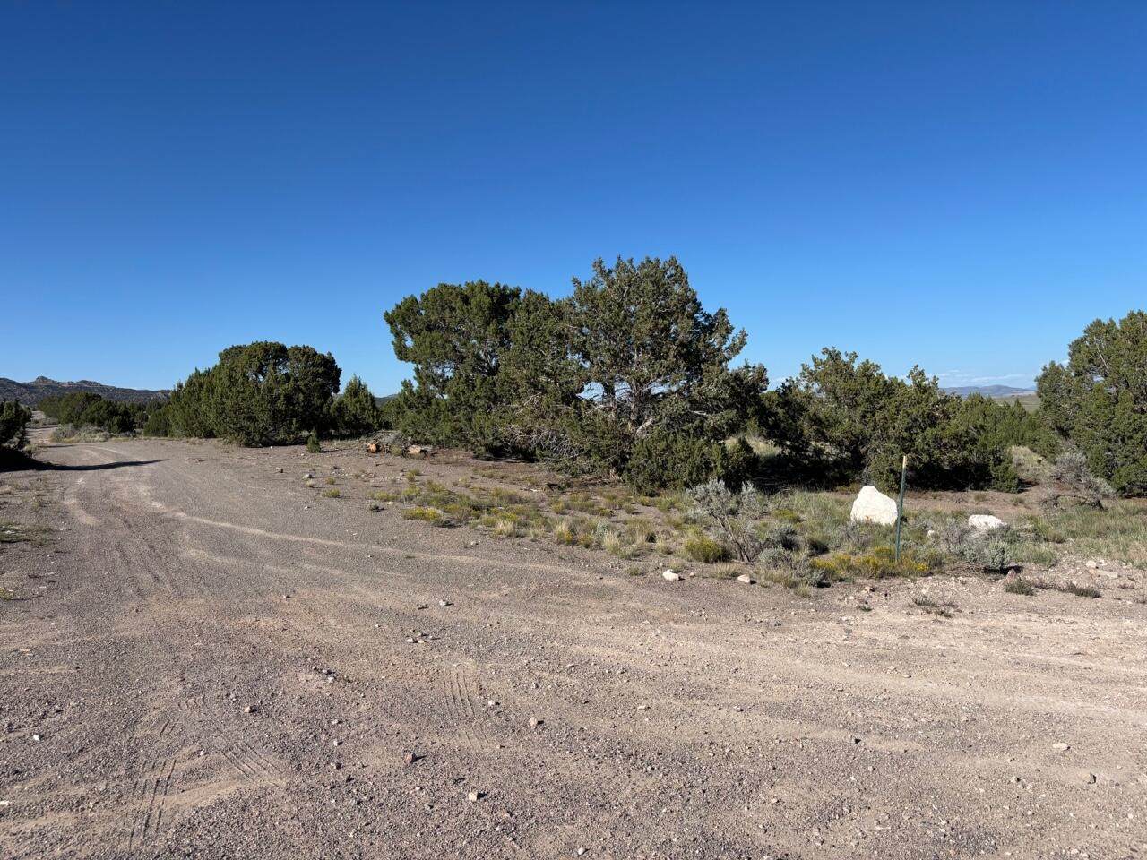  Lot 3 Montgomery Minor Lot - Photo 1