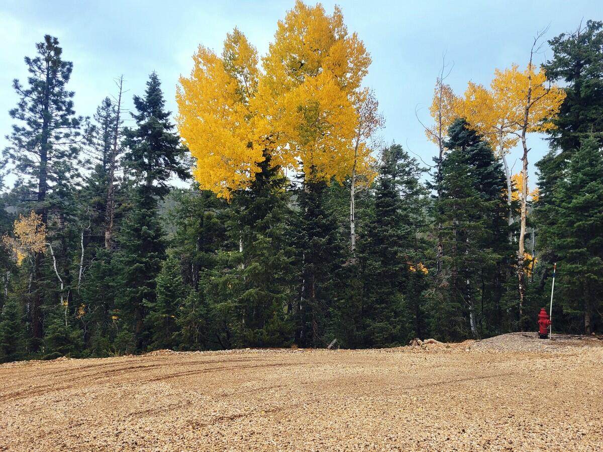 45 Quakie Place - Photo 1