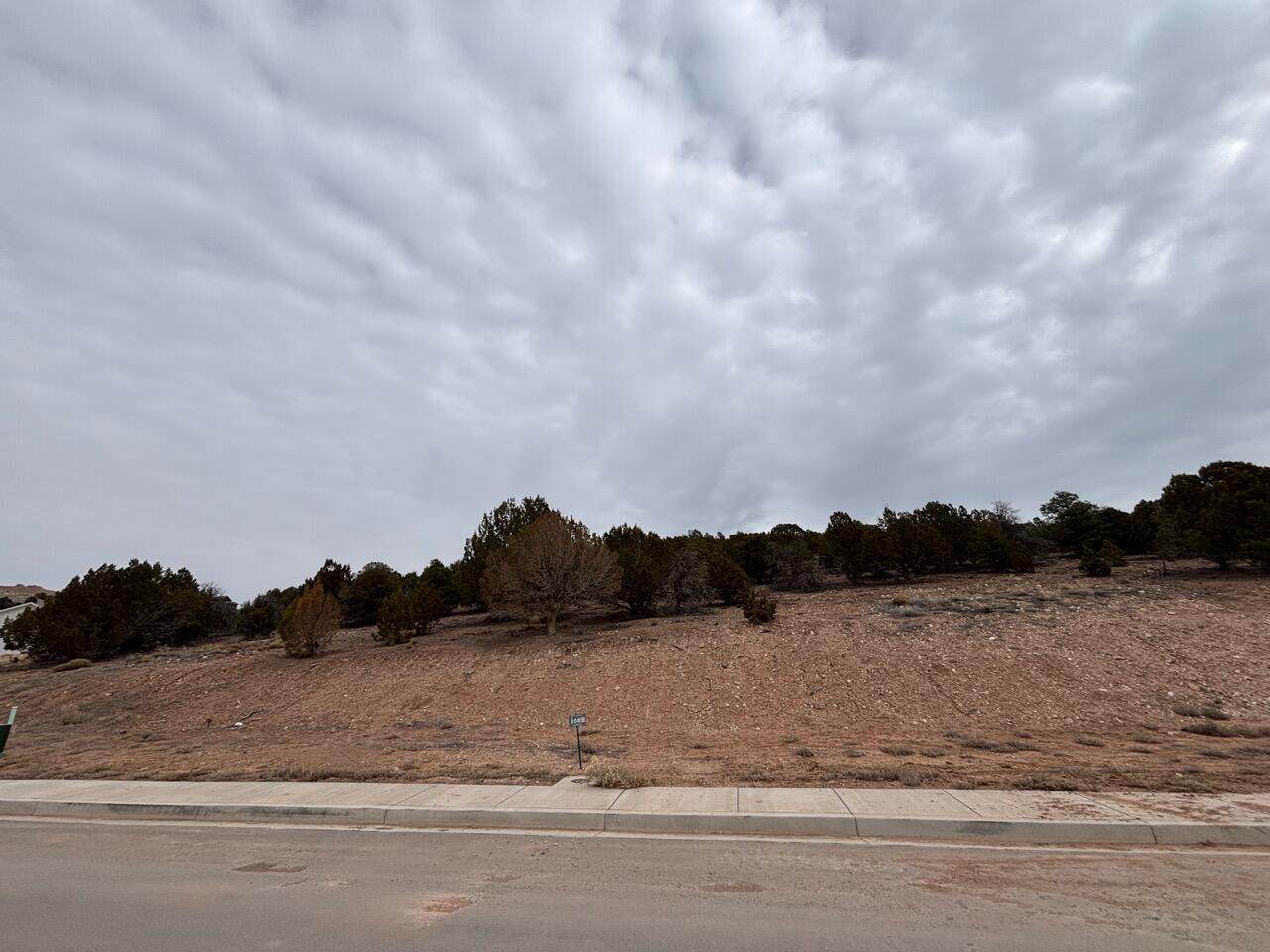 1919 Oak Springs Rd - Photo 1