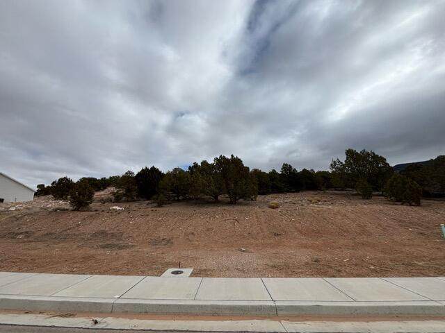 1903 Oak Springs Rd - Photo 1