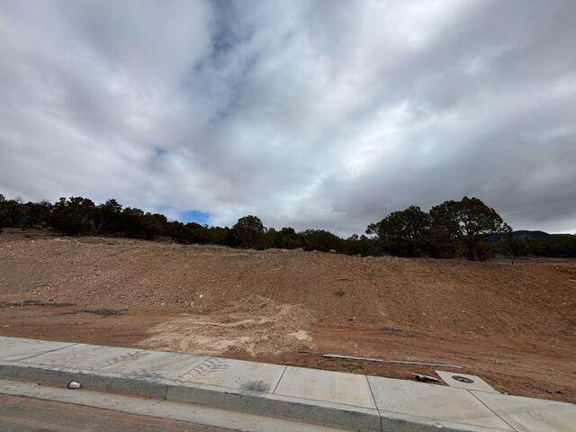 1933 Oak Springs Rd - Photo 1