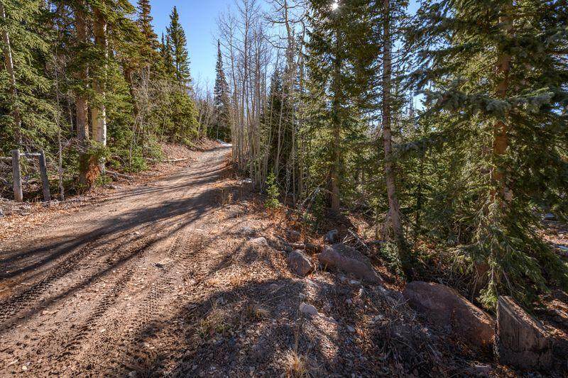 271 Deer Trail - Photo 1
