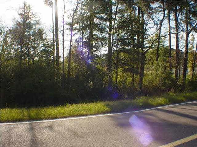0 Hwy 49 - Photo 1