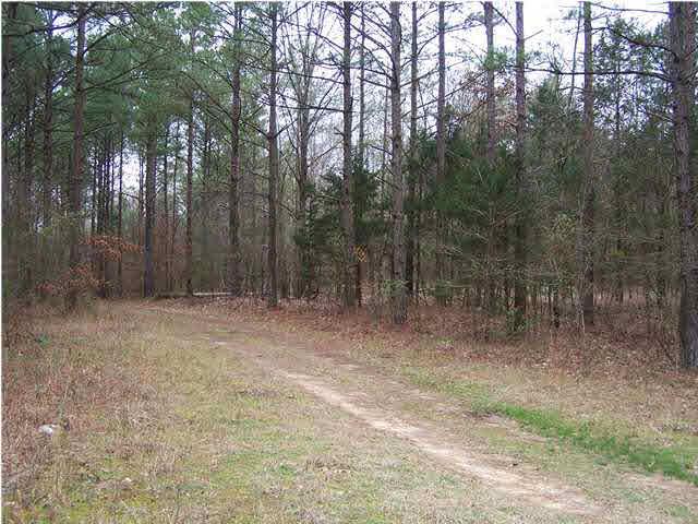 0 Robinson Springs Rd - Photo 1