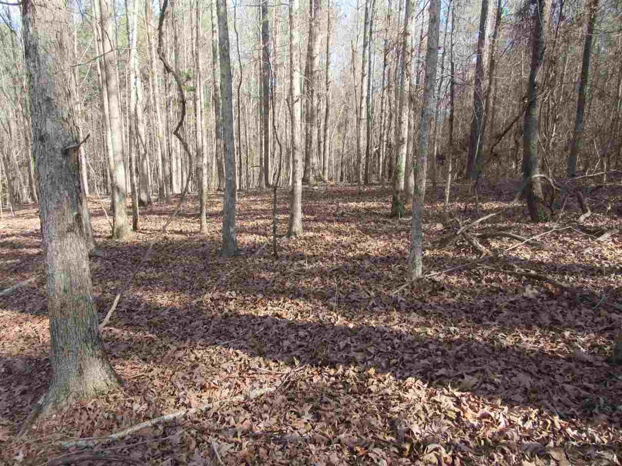 Firetower Rd - Photo 1
