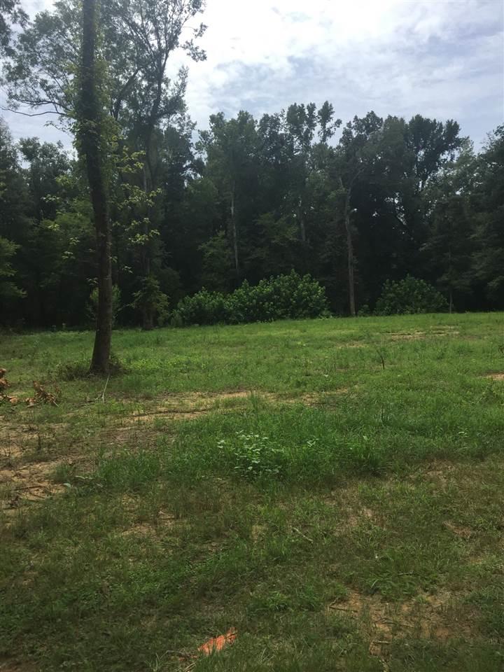 Lot 19 Bridgewater Bend - Photo 1