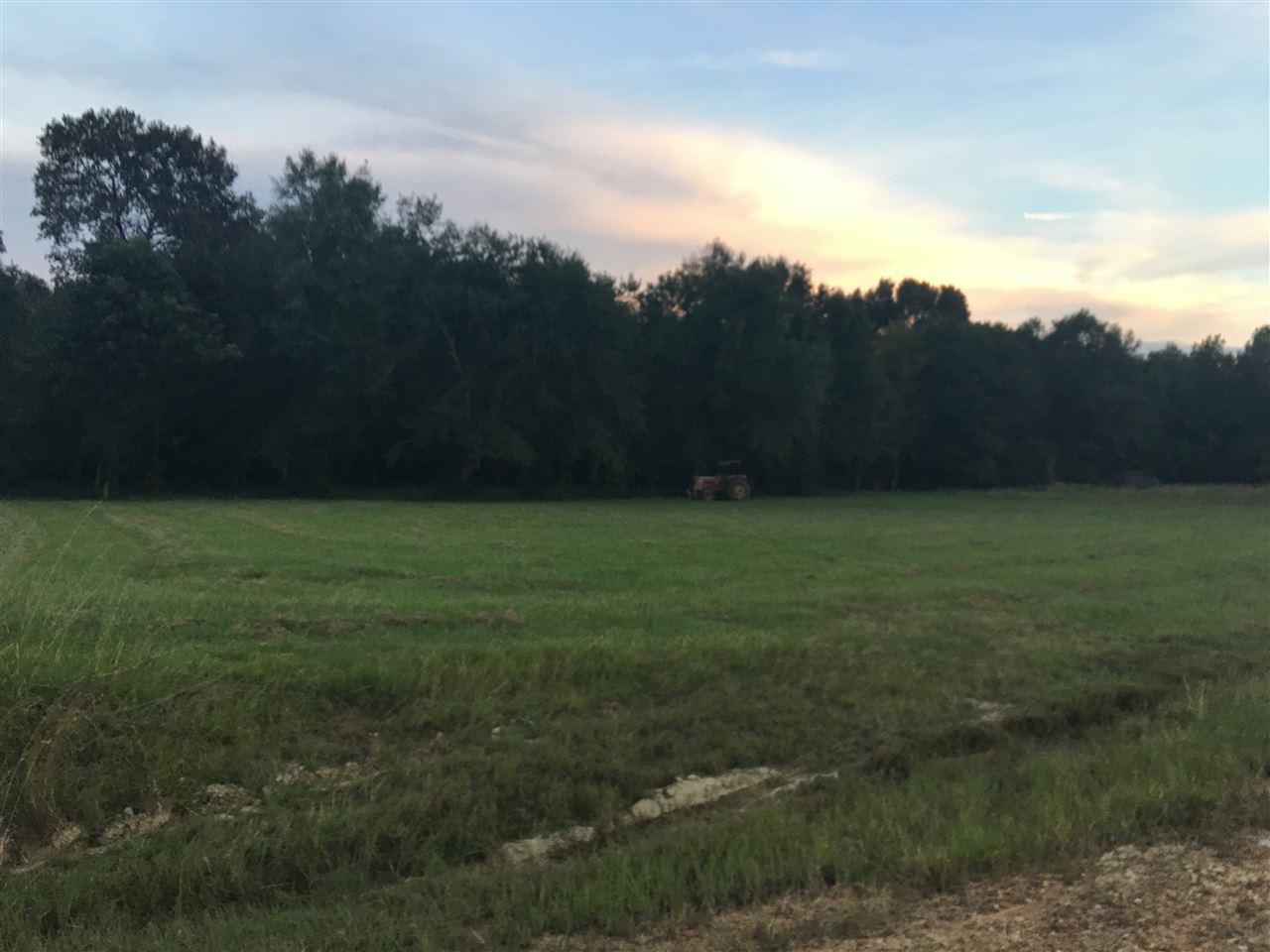 0 North Haven Dr - Photo 1