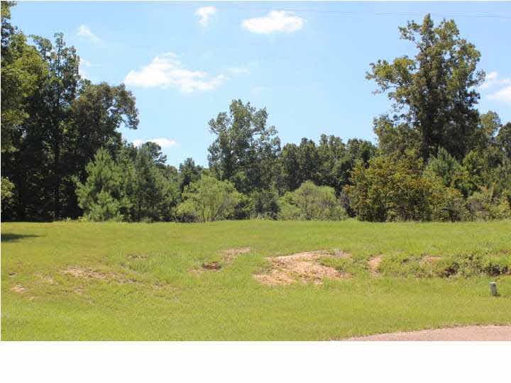 0 Olivia Ln - Photo 1