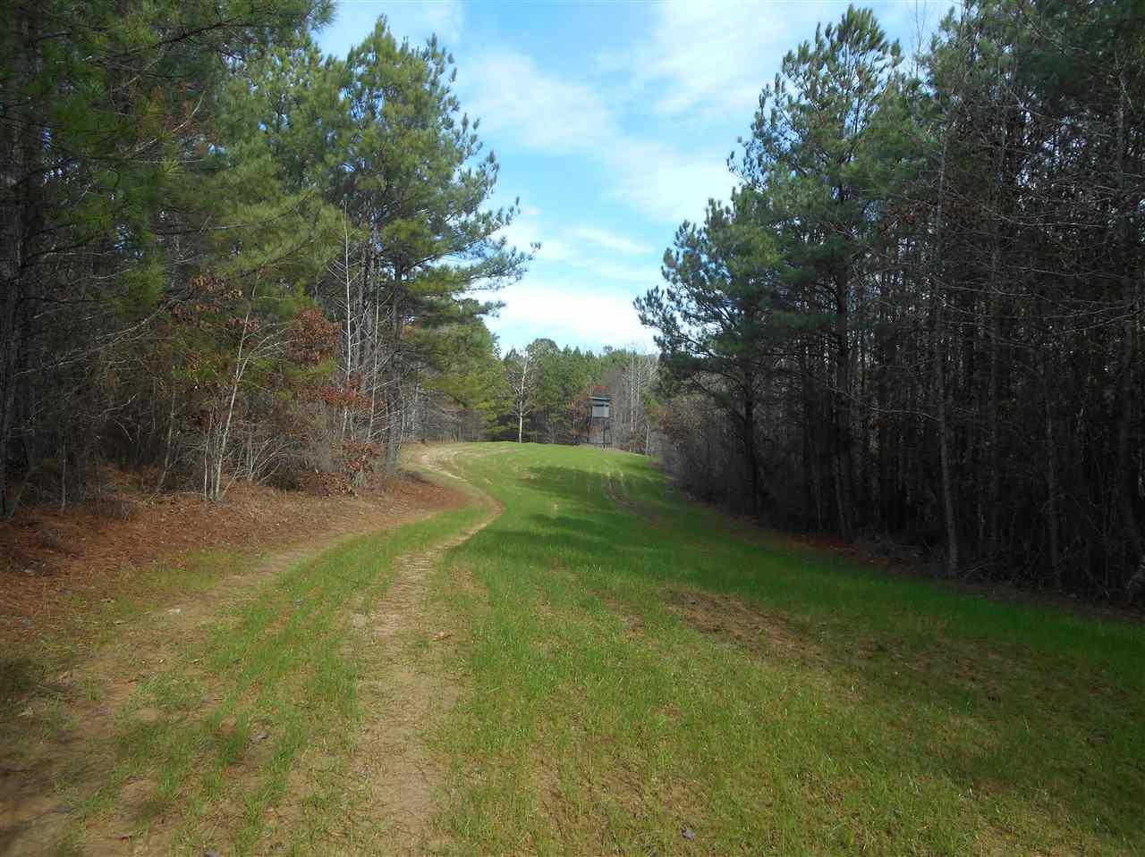 0 Green Rd - Photo 1