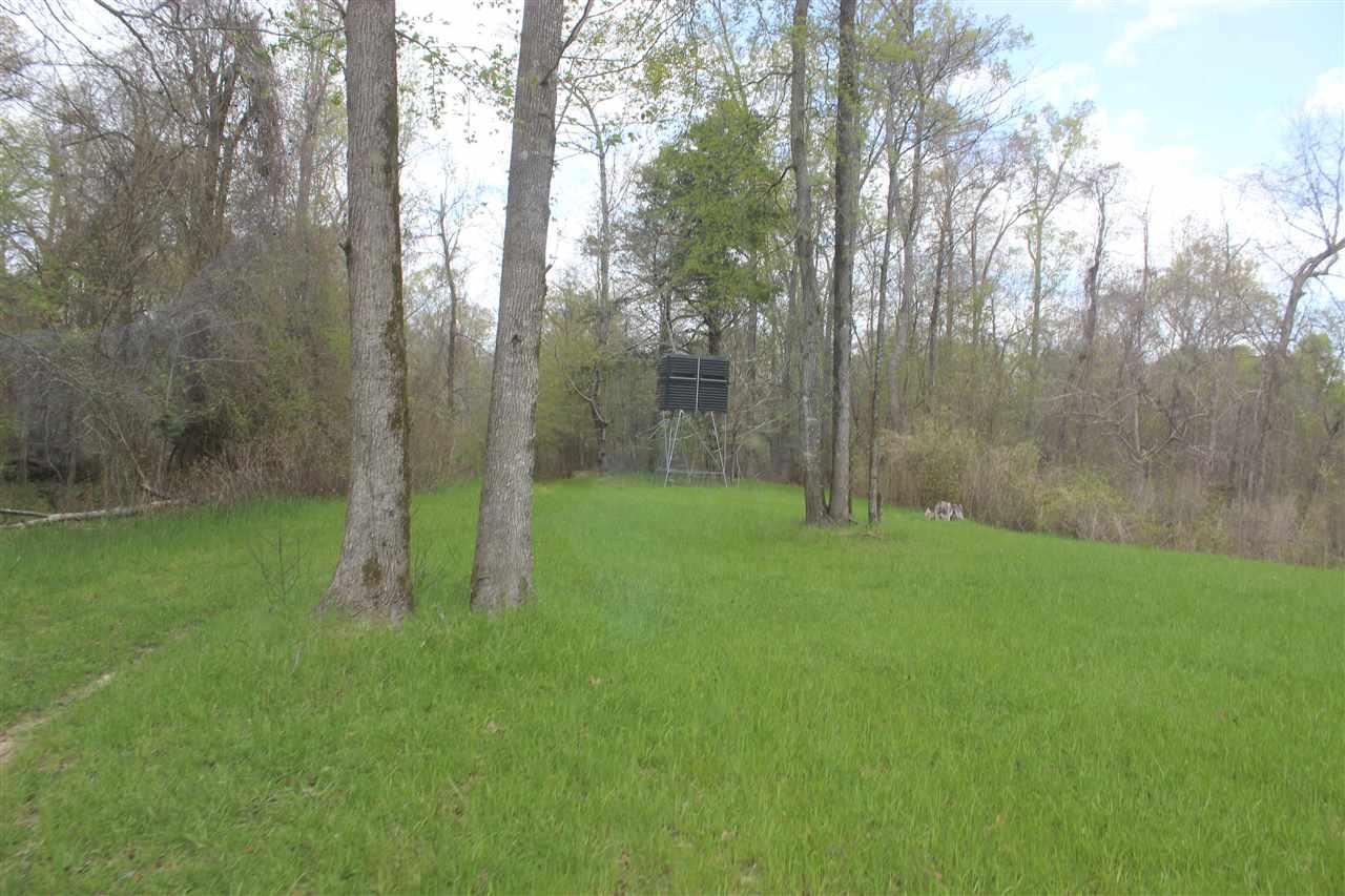 5747 Russellville Rd. - Photo 1
