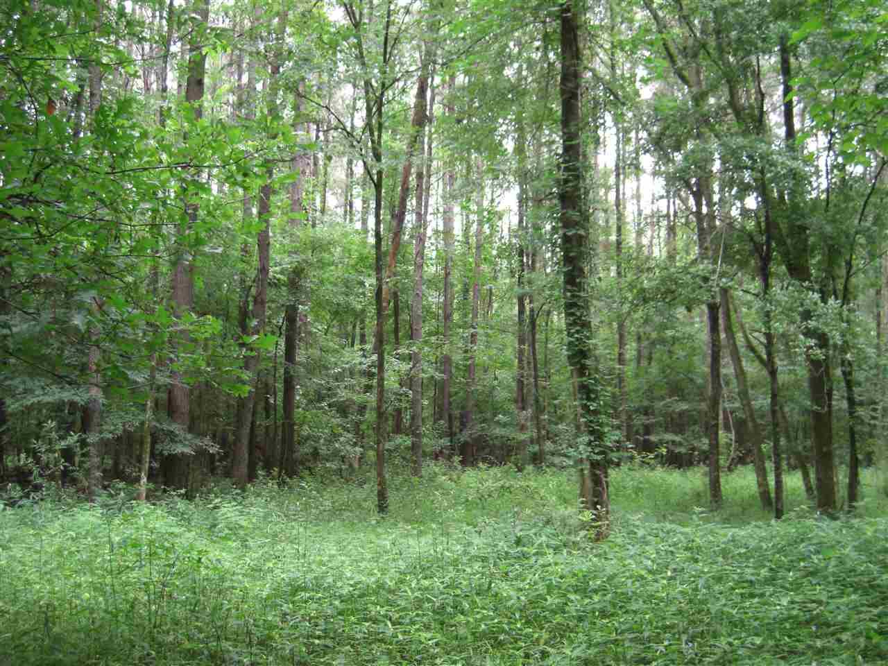 300 Sowell Rd - Photo 1