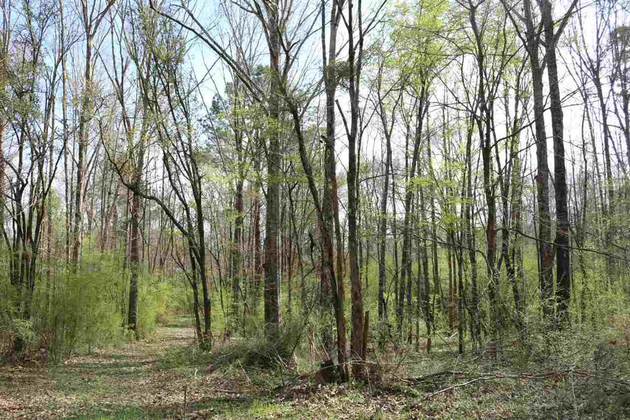 Mountain Laurel Rd - Photo 1