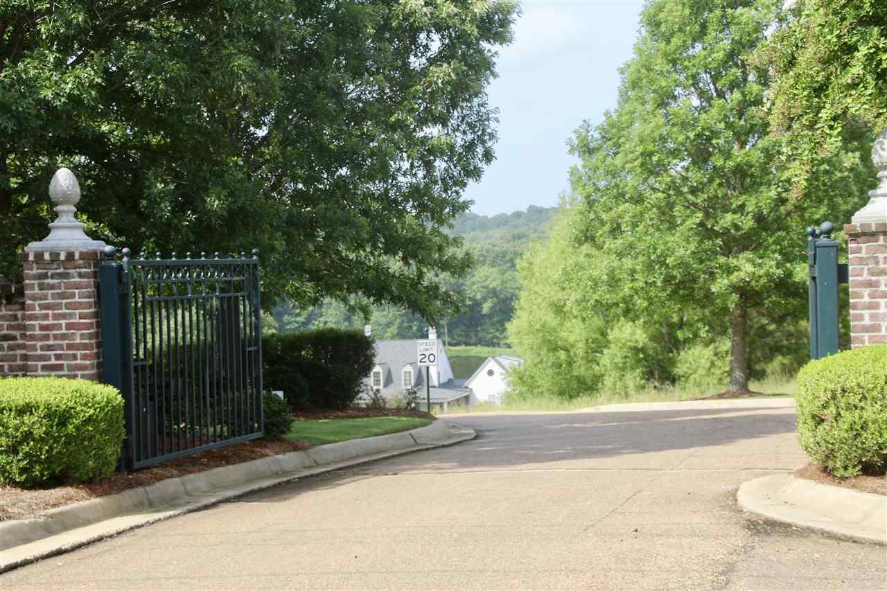 77 Chestnut Spring Rd - Photo 1
