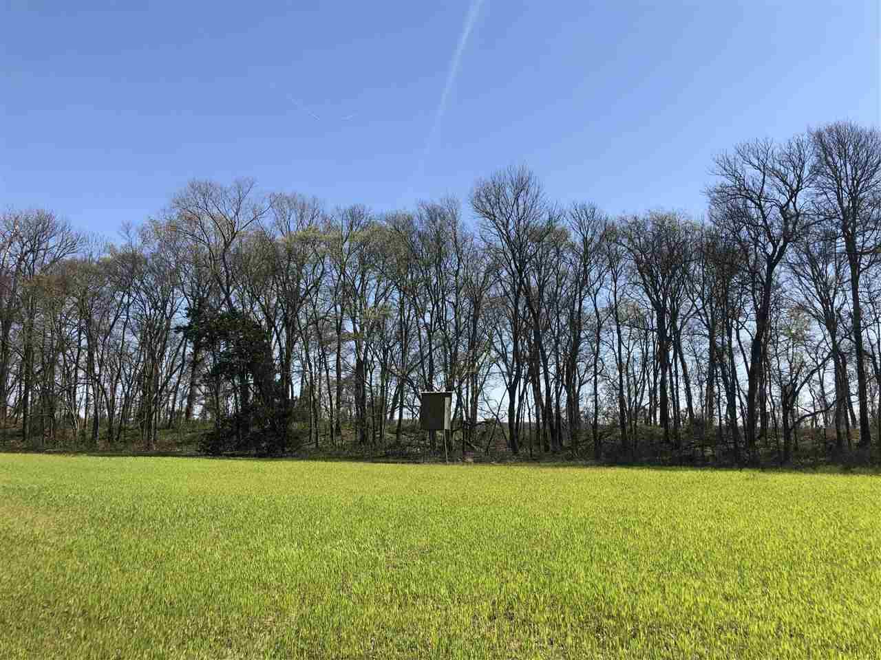 0 Counce Rd - Photo 1