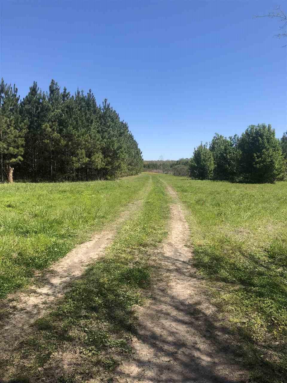 Dry Creek Rd - Photo 1