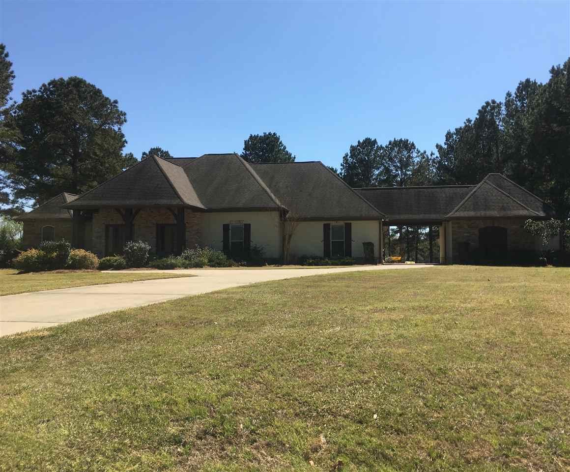 123 Livingston Dr - Photo 1