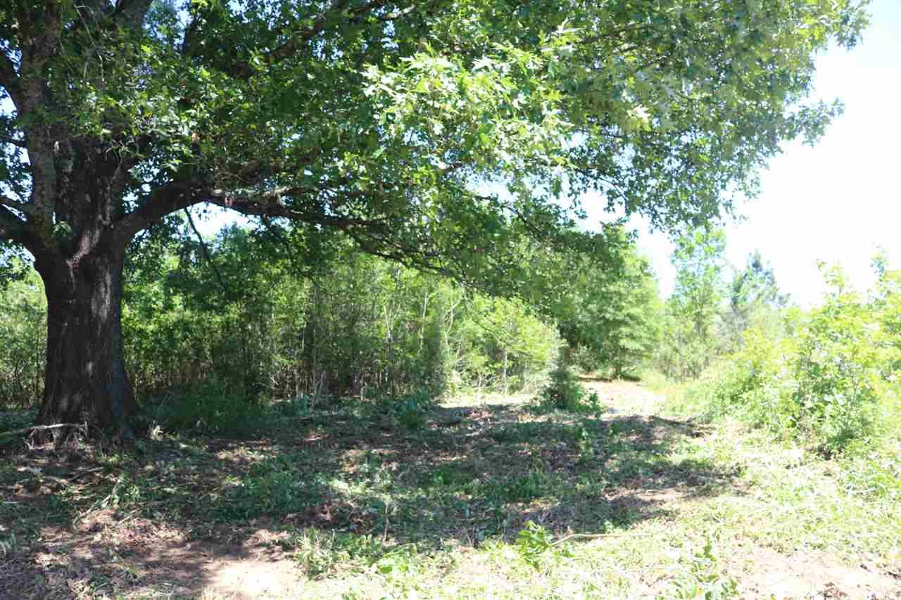 0 Stapleton Dr - Photo 1