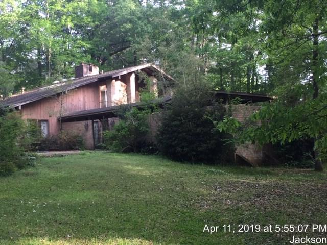 4142 Honeysuckle Ln - Photo 1