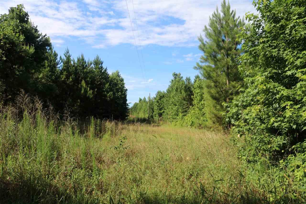 Purvis Rd - Photo 1