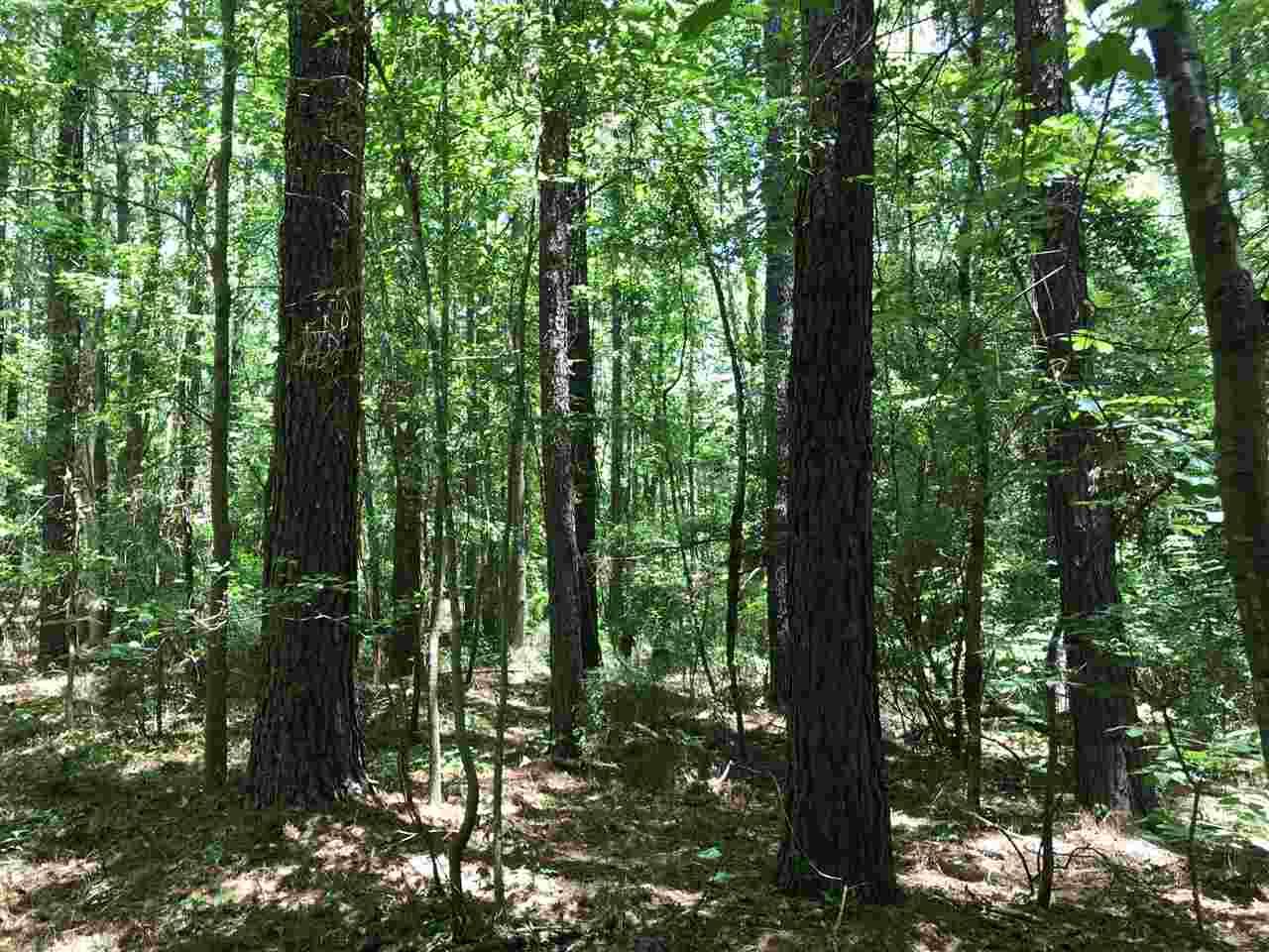 0 Ponder Mason Rd - Photo 1