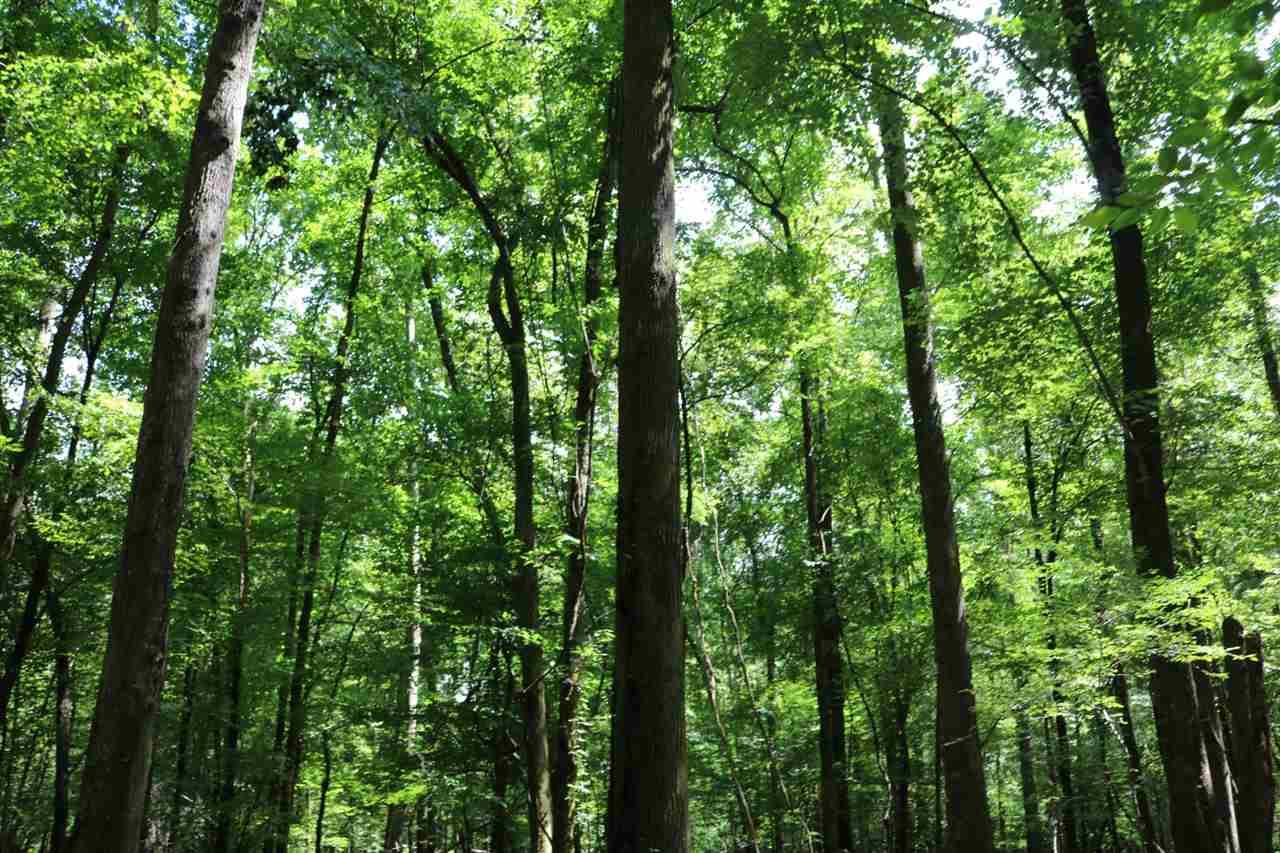 Attala County Rd 4201 - Photo 1