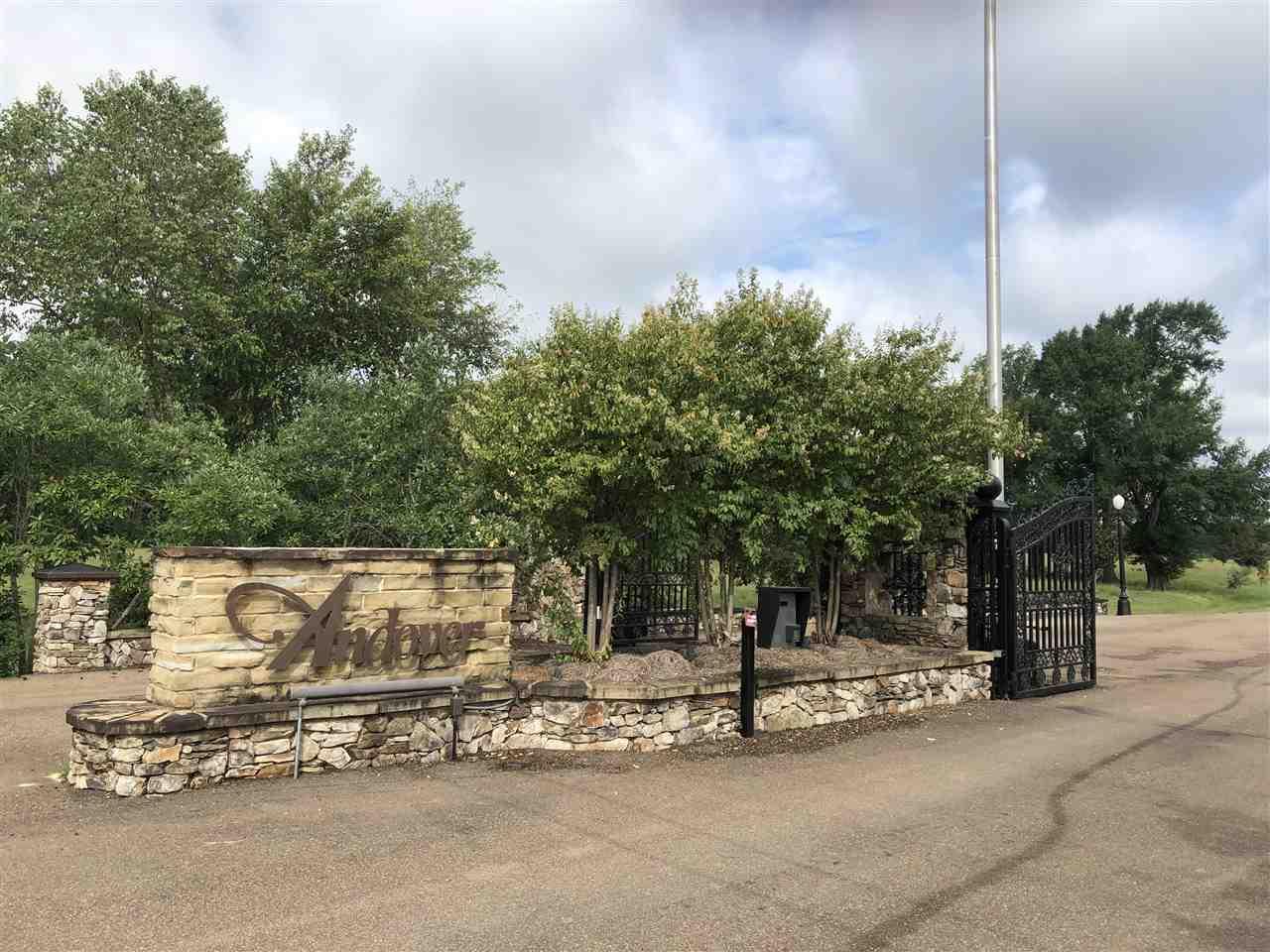 LOT 61 Lovorn Ct - Photo 1
