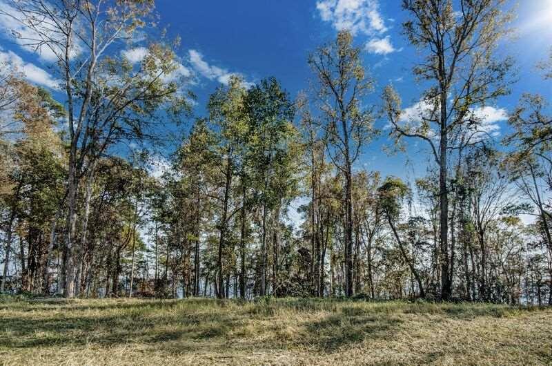 Lot 764 North Natchez Dr - Photo 1